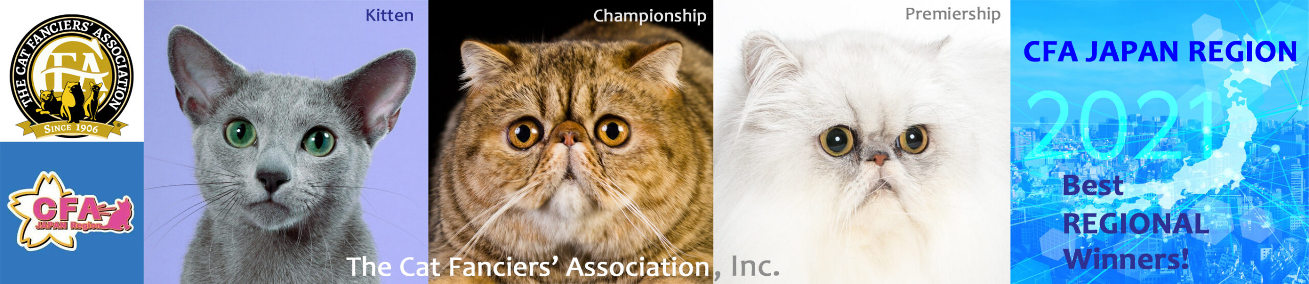キャットショー  CFA Japan Region